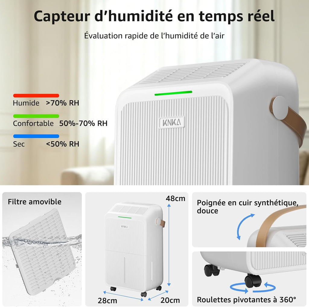 Déshumidificateur 16 L/jour contre l'humidité et la condensation
