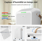 Déshumidificateur 16 L/jour contre l'humidité et la condensation